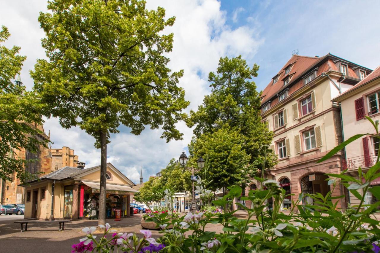 Le Griffon Daire Colmar Dış mekan fotoğraf